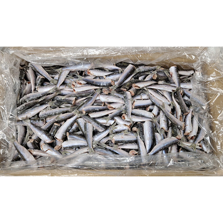 Jadranske sardele BG 10kg smrz.