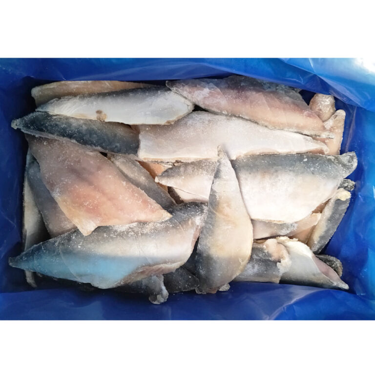 Skuša file s kožom Japonicus 5kg smrz.