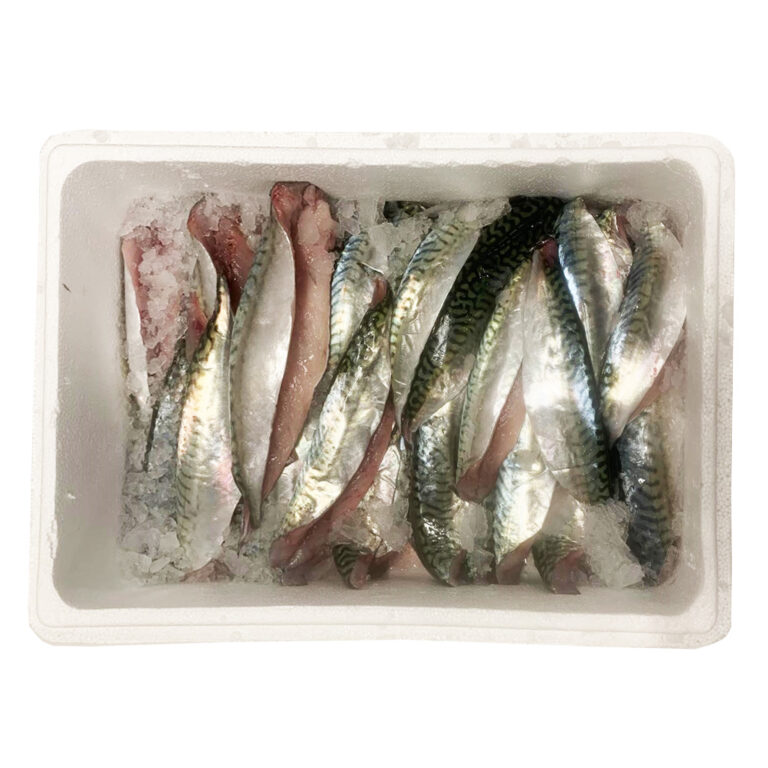 Skuša file, 3 kg, sveža