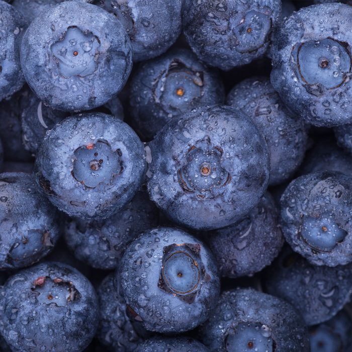 Borovnice 10kg smrz.