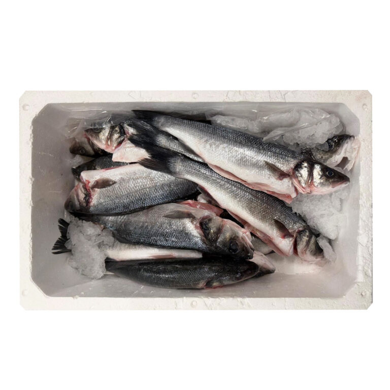 Brancin neočišćen 330-500 g, HR, svježi